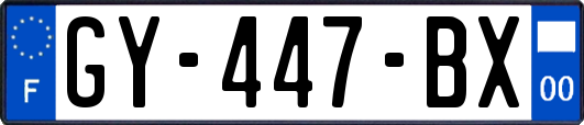 GY-447-BX
