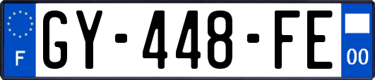 GY-448-FE
