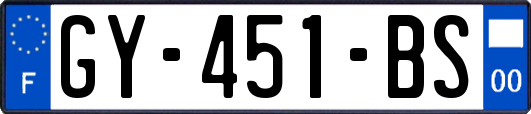 GY-451-BS