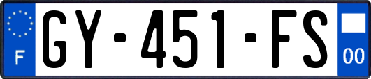 GY-451-FS