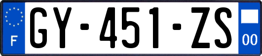 GY-451-ZS
