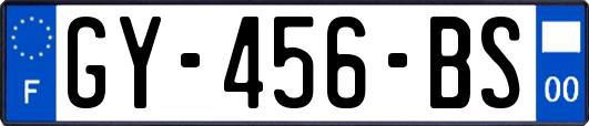 GY-456-BS