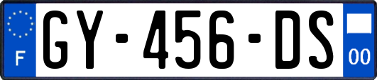 GY-456-DS