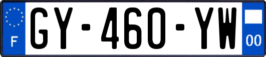 GY-460-YW