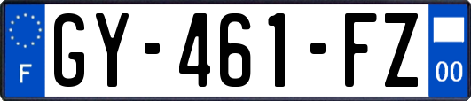 GY-461-FZ