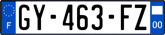 GY-463-FZ