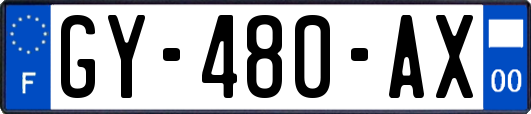 GY-480-AX