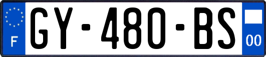 GY-480-BS