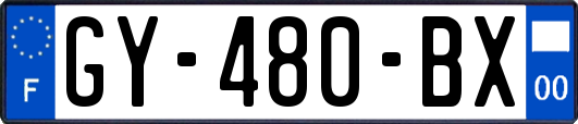 GY-480-BX