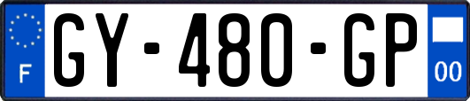GY-480-GP