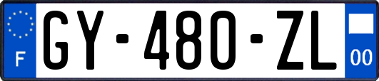 GY-480-ZL