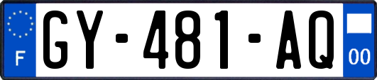 GY-481-AQ