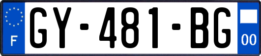 GY-481-BG