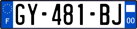 GY-481-BJ