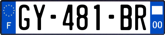GY-481-BR