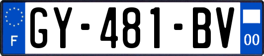 GY-481-BV