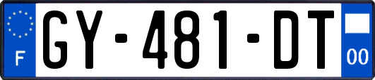 GY-481-DT