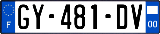 GY-481-DV
