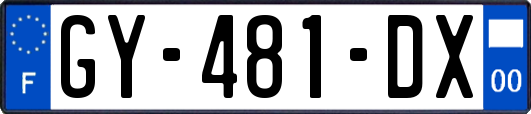 GY-481-DX
