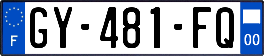GY-481-FQ