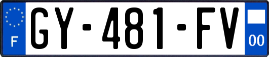 GY-481-FV