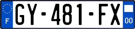GY-481-FX