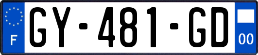 GY-481-GD