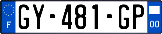 GY-481-GP