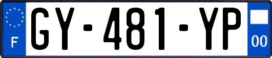 GY-481-YP