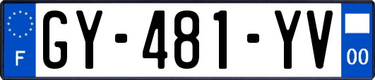 GY-481-YV