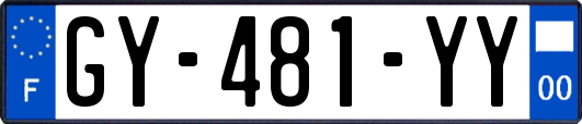 GY-481-YY