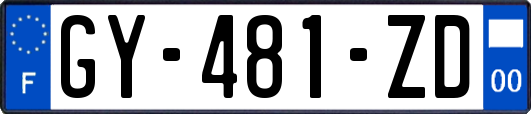 GY-481-ZD