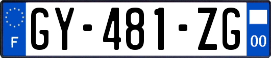 GY-481-ZG