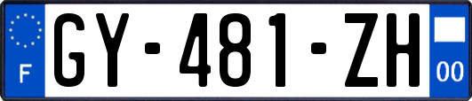 GY-481-ZH
