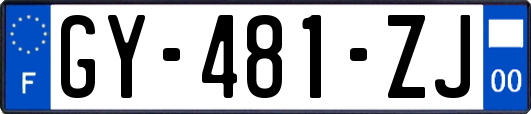 GY-481-ZJ
