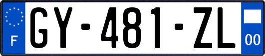 GY-481-ZL