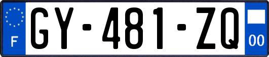 GY-481-ZQ