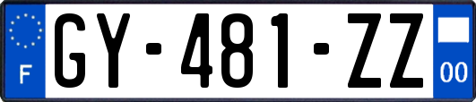 GY-481-ZZ