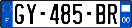 GY-485-BR