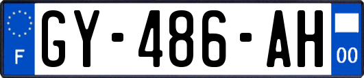 GY-486-AH