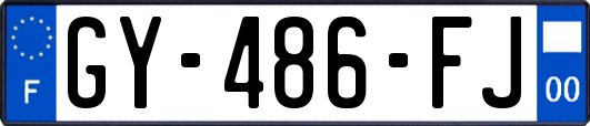 GY-486-FJ