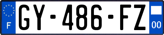 GY-486-FZ