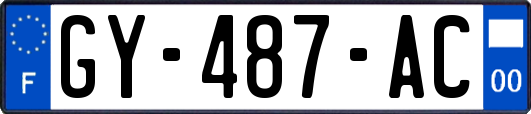 GY-487-AC