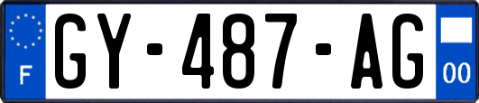 GY-487-AG
