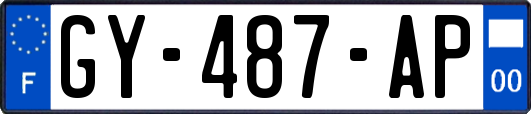 GY-487-AP