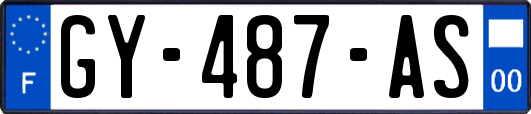 GY-487-AS