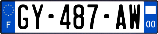 GY-487-AW