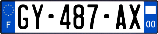 GY-487-AX