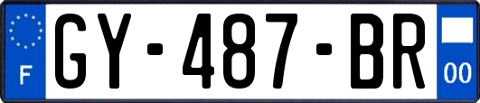 GY-487-BR