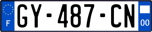 GY-487-CN